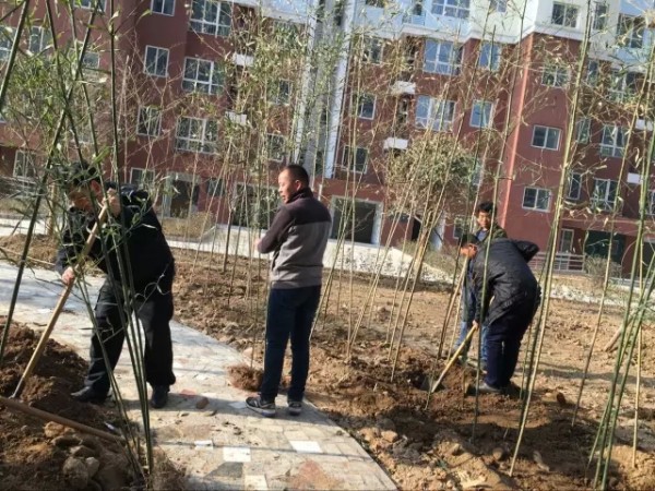 大西溝開展春季植樹綠化活動