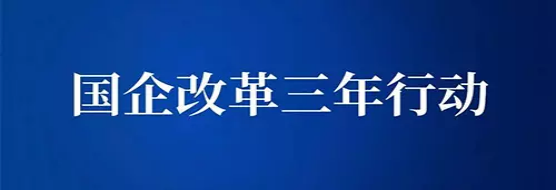 落實(shí)企業(yè)”雙百行動(dòng)”三年行動(dòng)方案,有序推進(jìn)“雙合同”管理工作